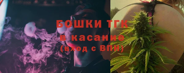 твердый Богородицк