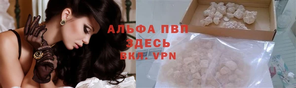 стаф Няндома